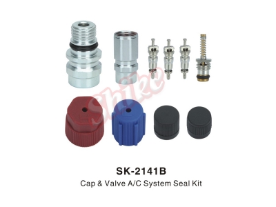 SK-2141B